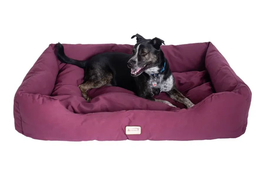 The Ultimate Guide to Choosing the Best Dog Bed for Large Breeds